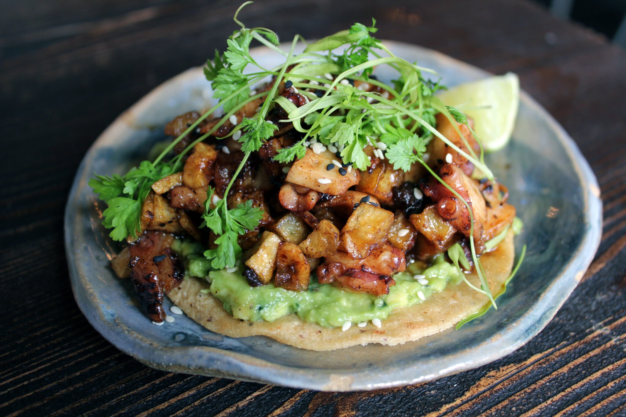 B- Pulpo Tostada – Robb Walsh